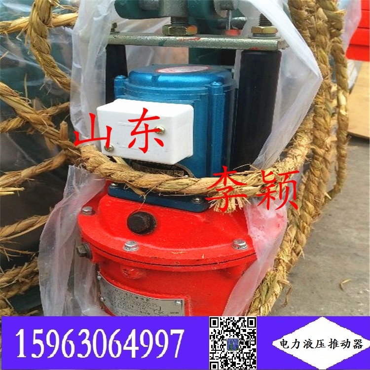 YT1-45/4電力液壓推動器型號多 現貨